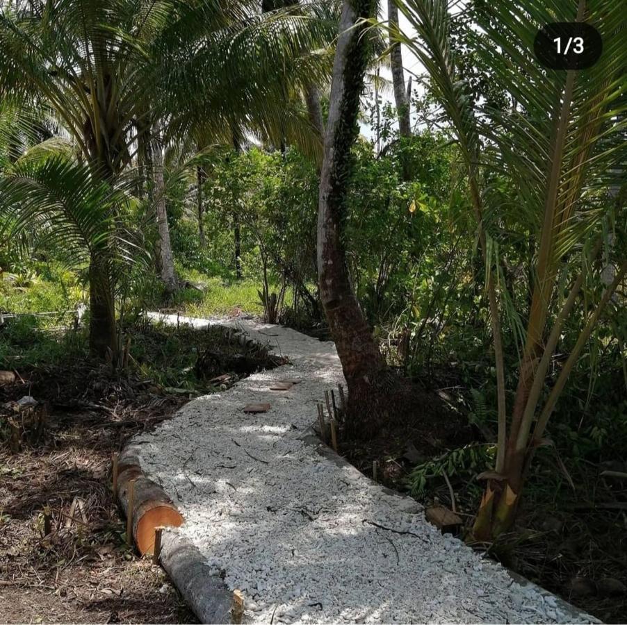 Homestay Palambak Paradise Pulau Banyak *